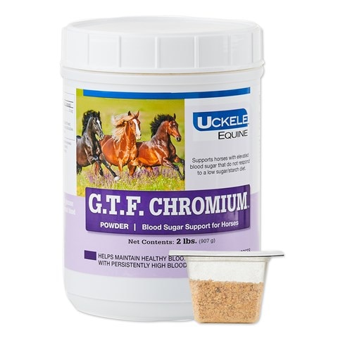 Smartpak GTF Chromium Equine Supplement