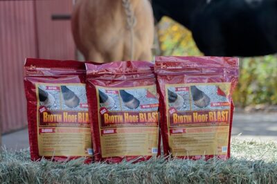 Horse Guard Biotin Hoof Blast Review: Laminitis Horse Supplements