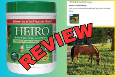 HEIRO Supplements Review: Manage Insulin Resistance in Horses