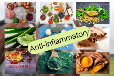 Top Natural Anti-Inflammatory Supplements for Horses