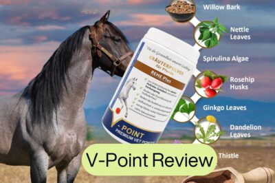 V-POINT Laminitis Ease Review: Managing Equine Hoof Care