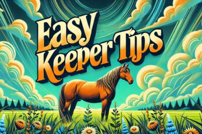Metabolic Supplements for Easy Keepers: Equine Weight Management Tips