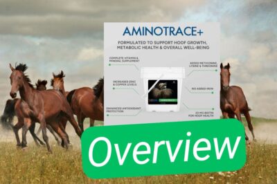Mad Barn AminoTrace+ Vitamin and Mineral Metabolic Horse Supplement Review