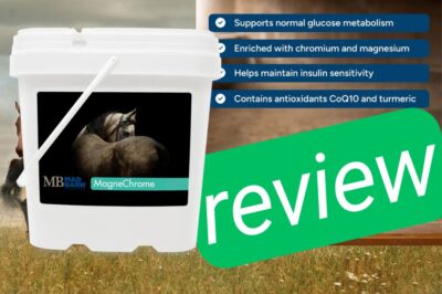 MagneChrome Review: Supplement for ECIR Horses and Metabolic Issues