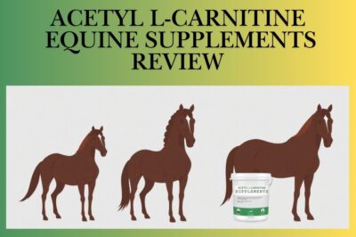 Acetyl-L-Carnitine Supplement Review: Key Benefits and Dosage Guide