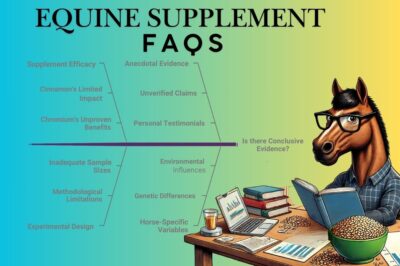 Top 10 Equine Metabolic Syndrome Supplements Questions & Answers