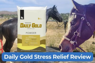 Daily Gold Stress Relief: Effective for Equine Health?