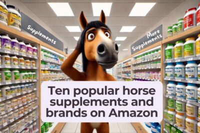 Ten Popular Horse Supplements and their Brands on Amazon Reviewed