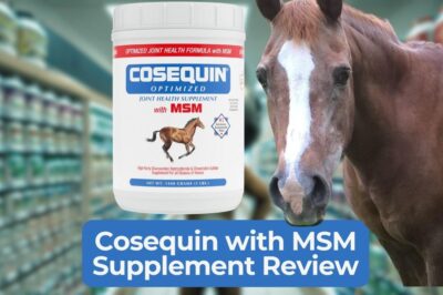 Nutramax Cosequin Optimized with MSM: Top Horse Joint Care?