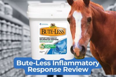 Absorbine Bute-Less Comfort & Recovery Supplement Pellets Review: Is It the Right Choice for Your Horse’s Recovery?
