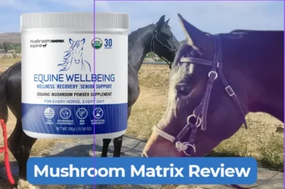 Om Mushroom Matrix Equine Review: Top Supplement for Horses?