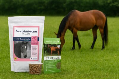 SmartPak SmartMetabo-Lean vs Poulin Grain E-TEC Carb Safe for Insulin Resistance